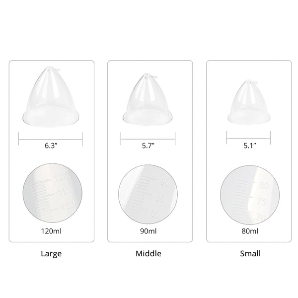 Three sizes of clear containers with measurements and volume labels on a white background