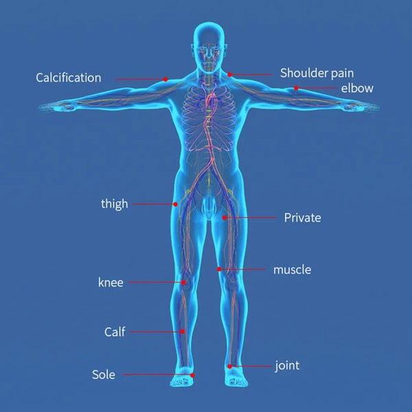 New Shockwave Therapy Machine for Joint Pain Relief and Body Contouring