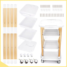 Salon Trolley Cart