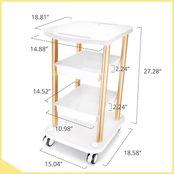 Salon Trolley Cart
