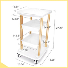 Salon Trolley Cart