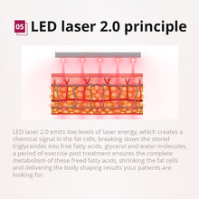 Professional Ultrasonic Cavitation Machine