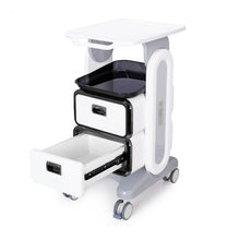 Beauty Styling Plant Rolling Cart Trolley With Double Drawer For Spa