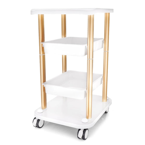 Salon Trolley Cart